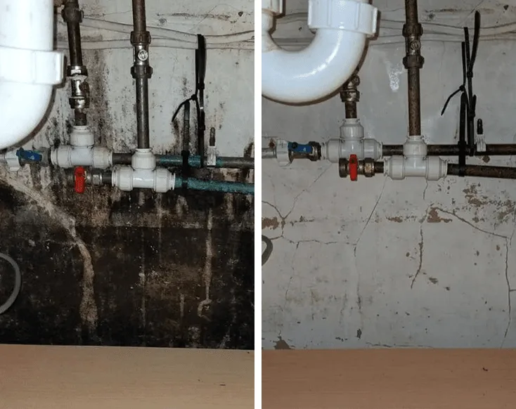 Under-sink mold before and after treatment