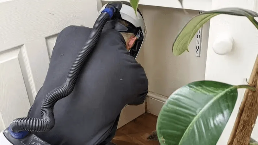 Technician surveying a home for mold